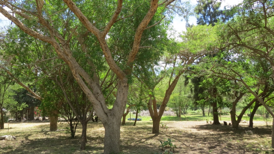 Commercial Property for Sale in Montagu Western Cape